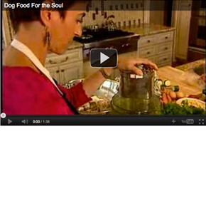 Elinor's Dog Food and nutrition